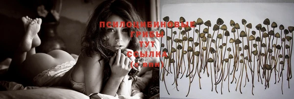 ECSTASY Сосновоборск
