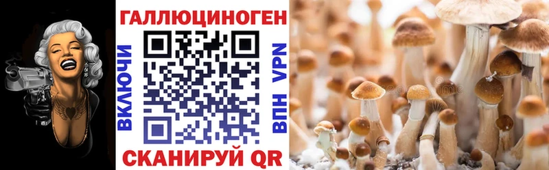 Псилоцибиновые грибы Psilocybe  это формула  Бабаево 