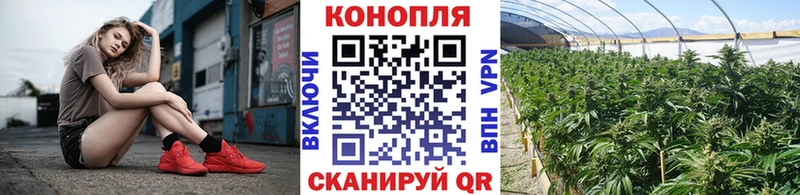 kraken рабочий сайт  Бабаево  Каннабис Amnesia  купить закладку 
